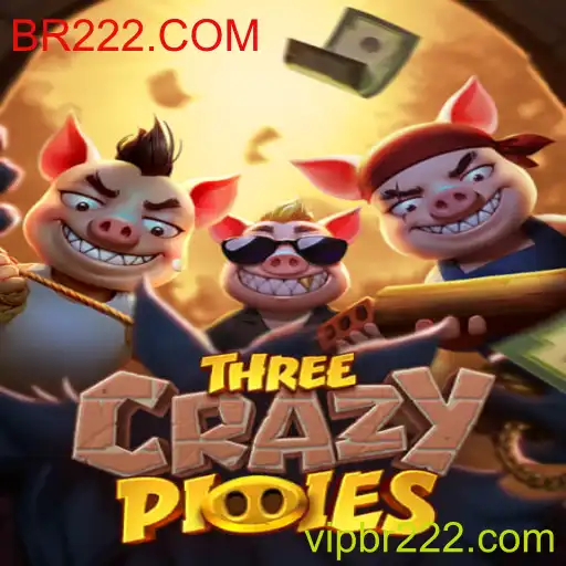Desvendando o Mundo de ThreeCrazyPiggies no BR222.COM